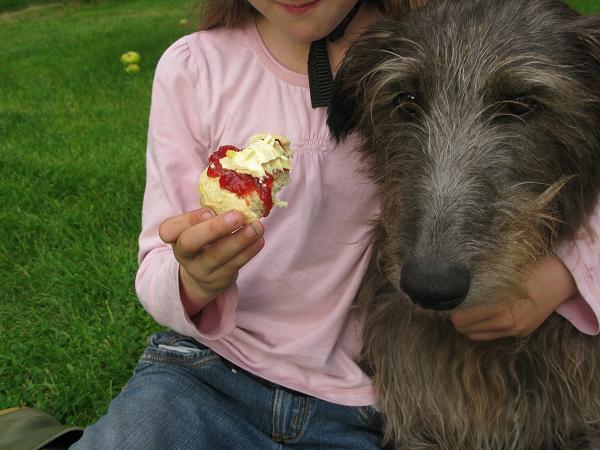 scone cupboard love 3