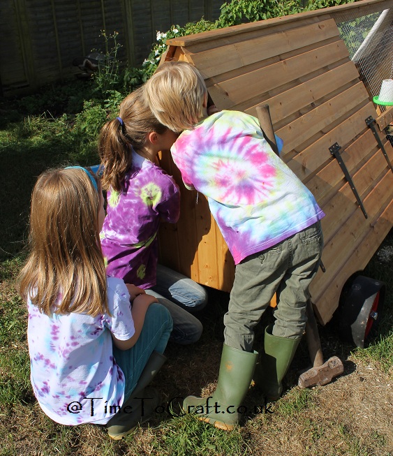 tie die by chicken coop