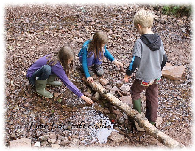 building a dam in the stream