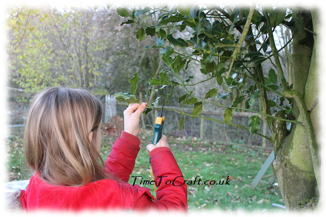 collecting holly
