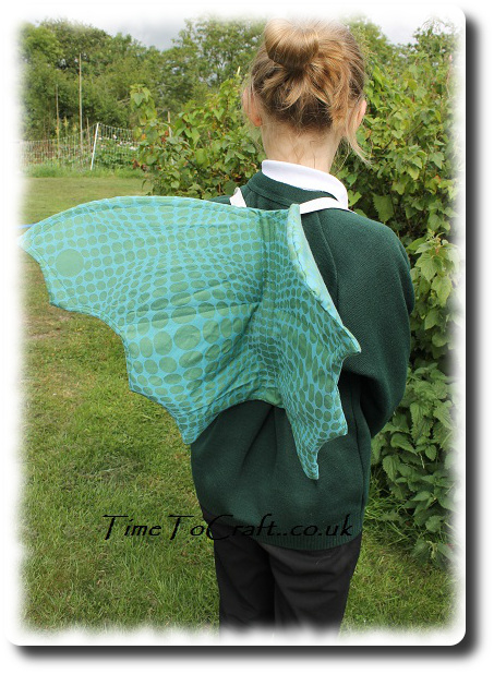 dragon wings on back