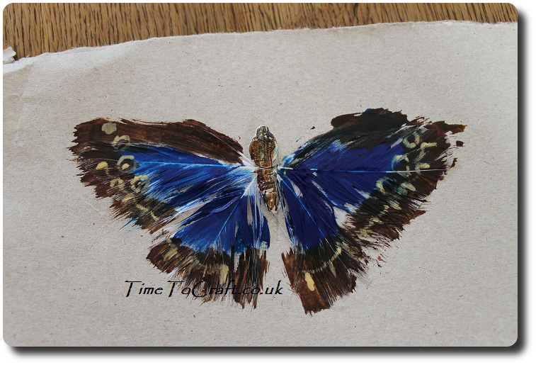 painted feather butterfly