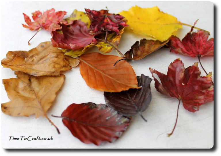 Waxing Autumn Leaves - Time To Craft