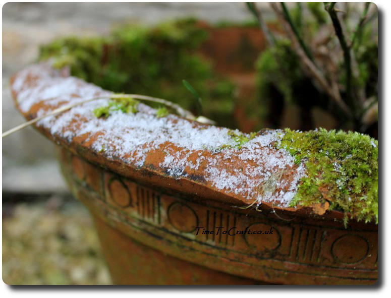 Plant pot with a dusting of snow