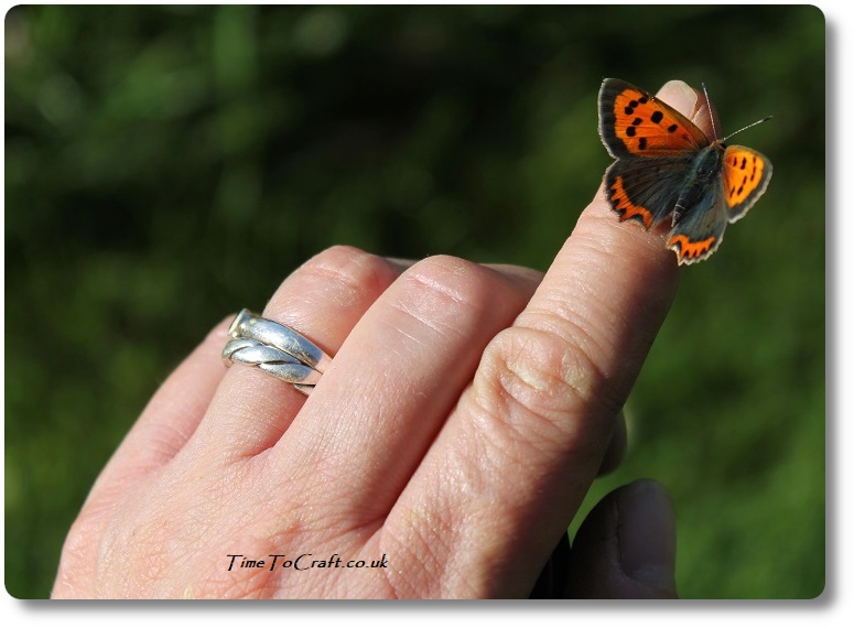 small copper butterfly on finger