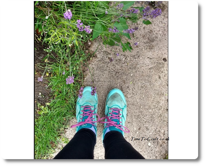 running shoes and lavender bush