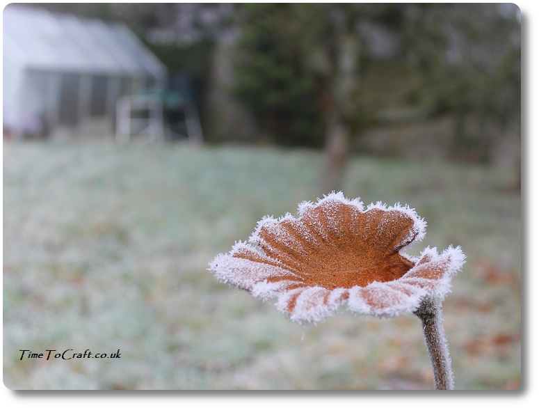Winter frost on metal leaf