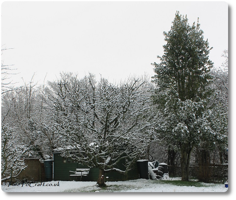 Snow on our apple trees