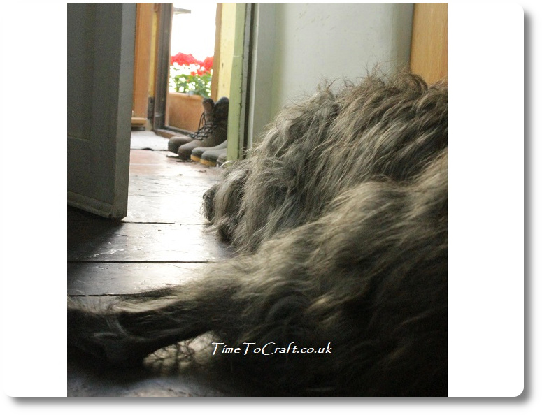 Geraniums in the doorway