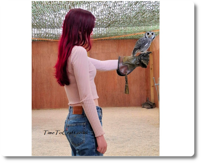 Birthday girl with owl