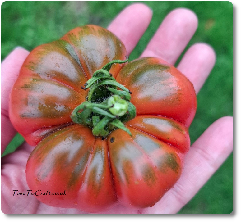 Homegrown tomato